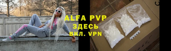 прущие грибы Абаза