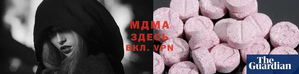 прущие грибы Абаза