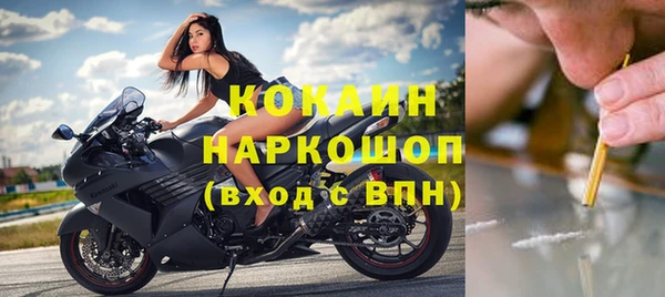 прущие грибы Абаза
