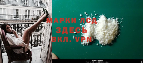 прущие грибы Абаза
