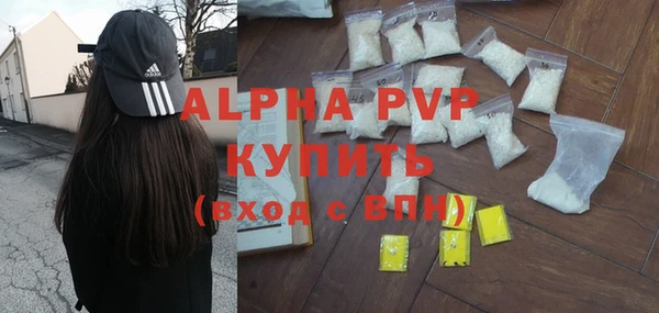 прущие грибы Абаза