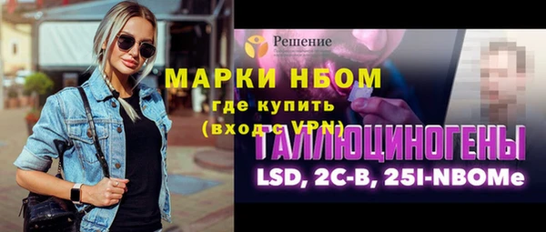 прущие грибы Абаза