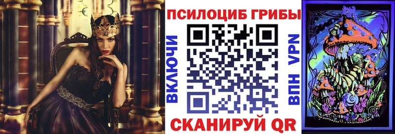 Псилоцибиновые грибы Cubensis  KRAKEN tor  Черепаново 